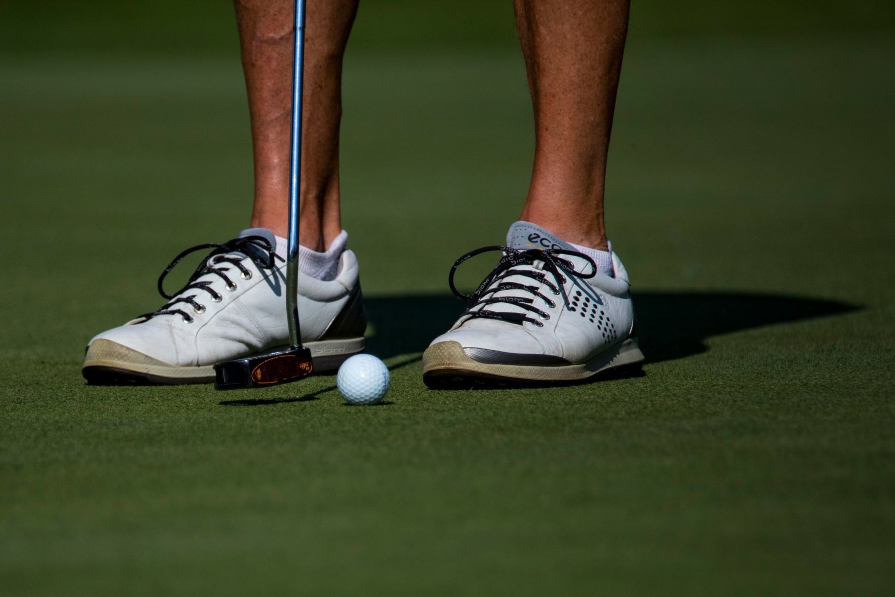 Montana State Senior Golf Tournament